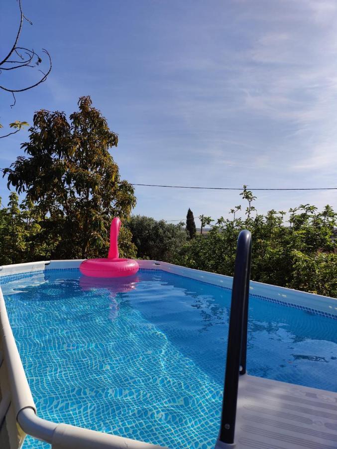 Casa Amarela-Tiny House With Fantastic View-Pool And Close To The Beaches シルヴェス エクステリア 写真